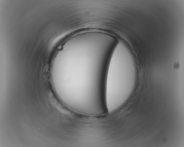 X0000114010971200910020948