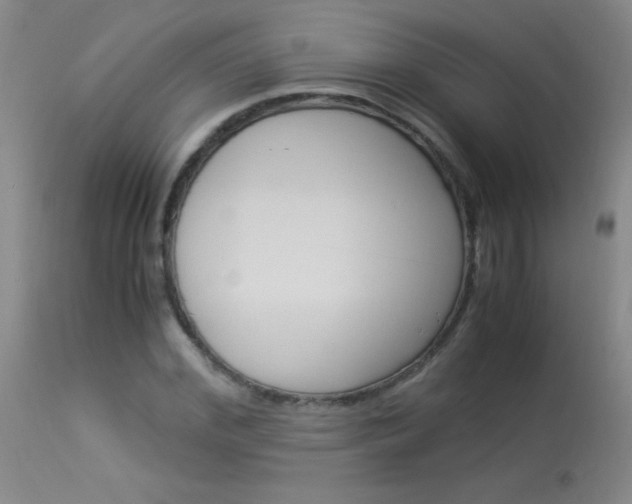 X0000114010972200910020948