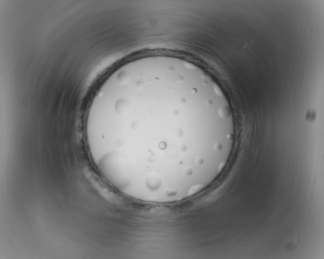 X0000114010974200910020948