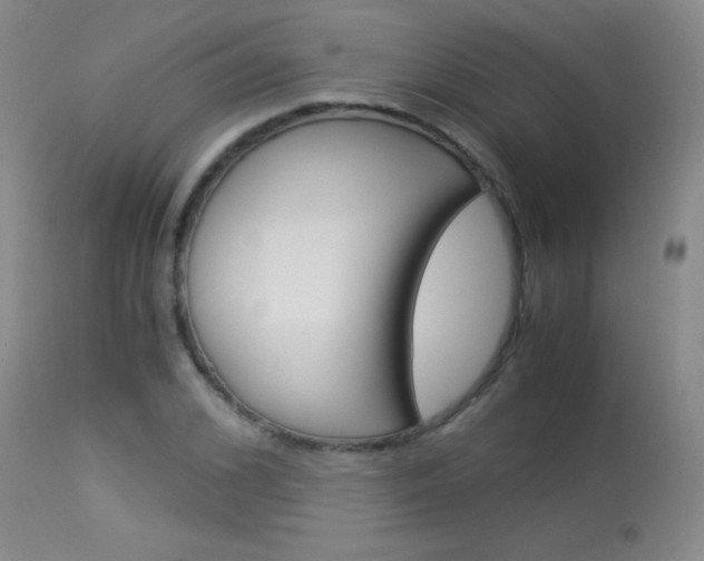 X0000114010976200910020948