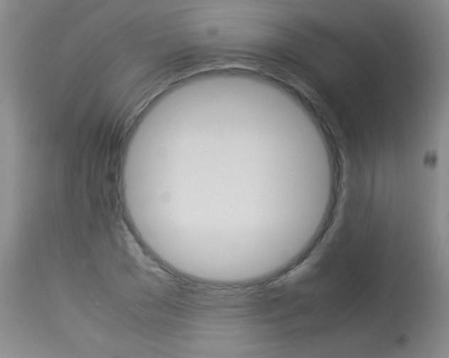 X0000114010977200910020948