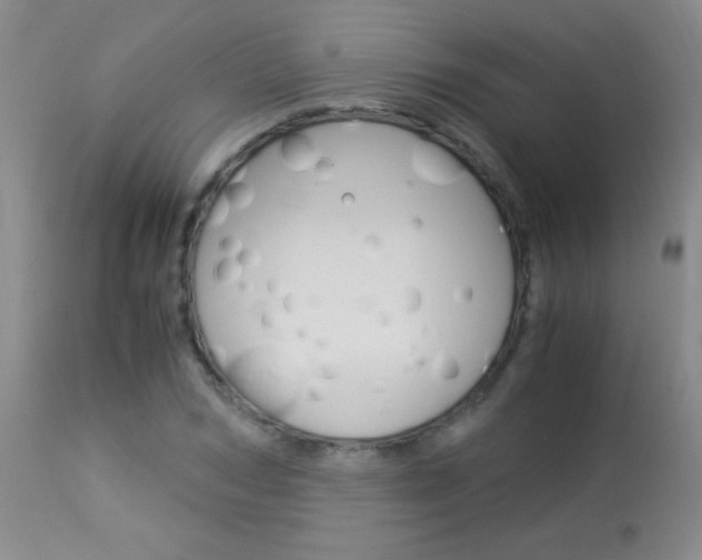 X0000114010978200910020948