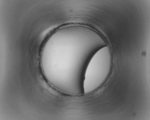 X0000114010979200910020948