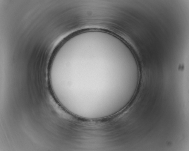 X0000114010980200910020948