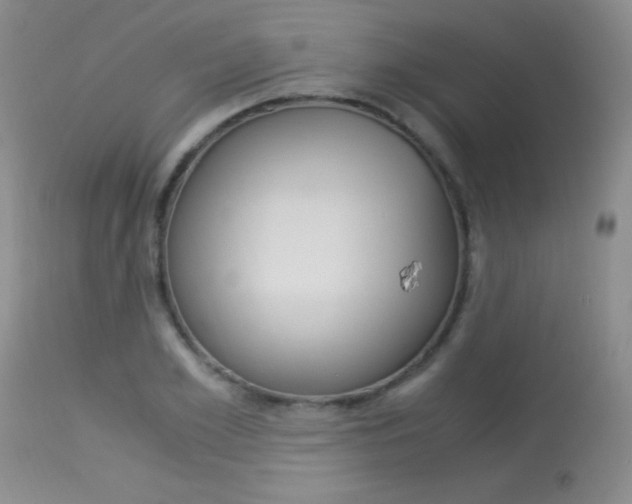 X0000114010981200910020948