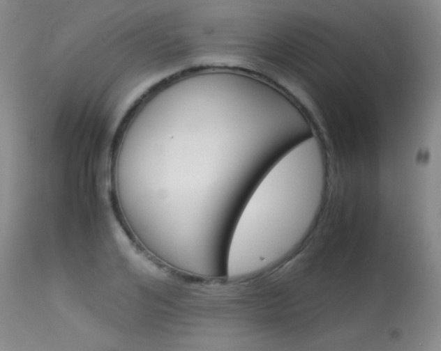 X0000114010984200910020948