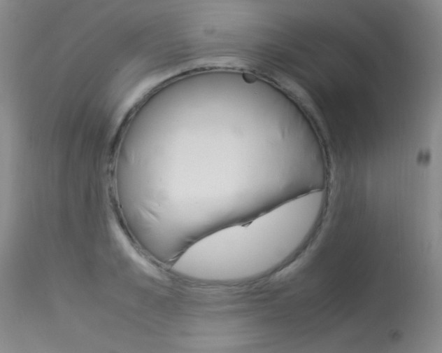 X0000114010989200910020948