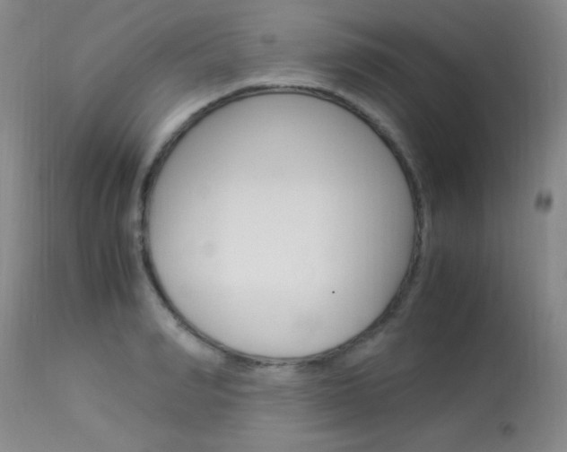 X0000114010990200910020948