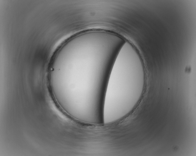 X0000114010991200910020948