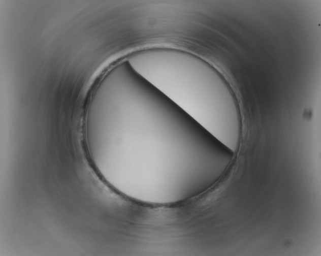 X0000114010992200910020948