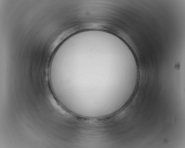 X0000114010994200910020948