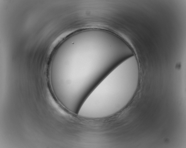 X0000114010995200910020948