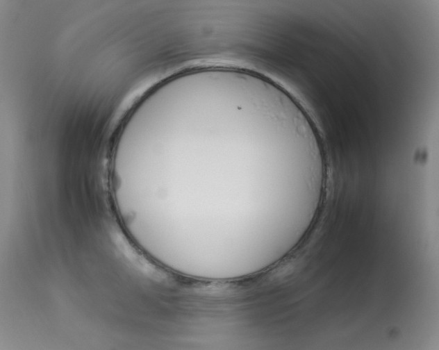 X0000114010998200910020948