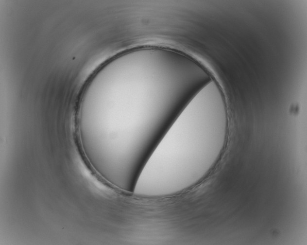 X0000114010999200910020948