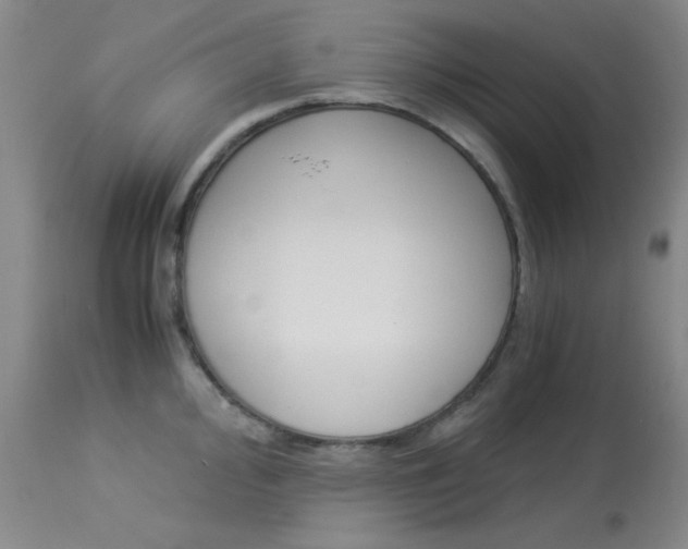 X0000114011000200910020948