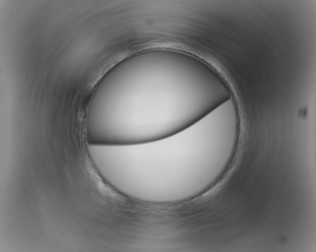 X0000114011001200910020948