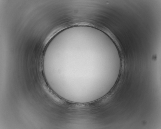 X0000114011002200910020948