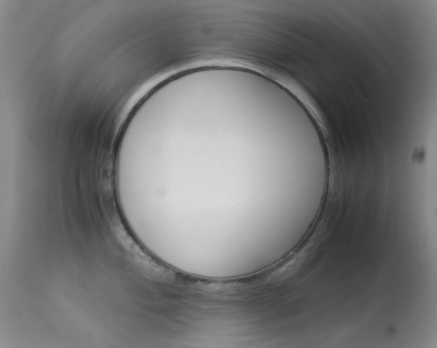 X0000114011004200910020948