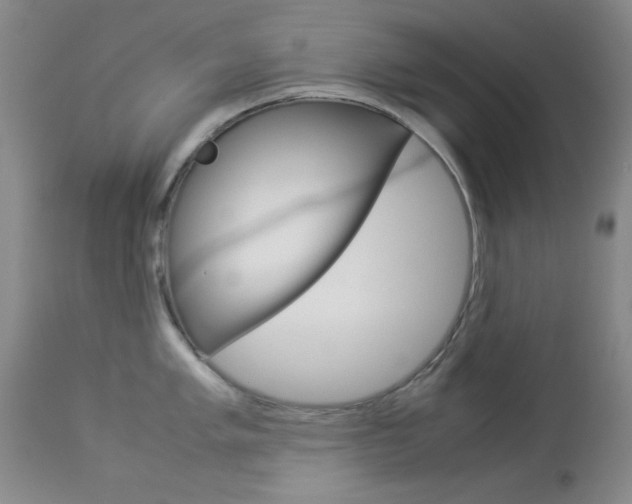 X0000114011005200910020948