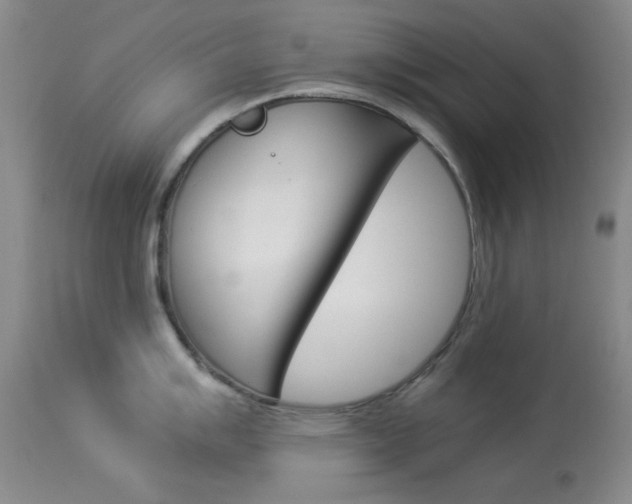 X0000114011007200910020948