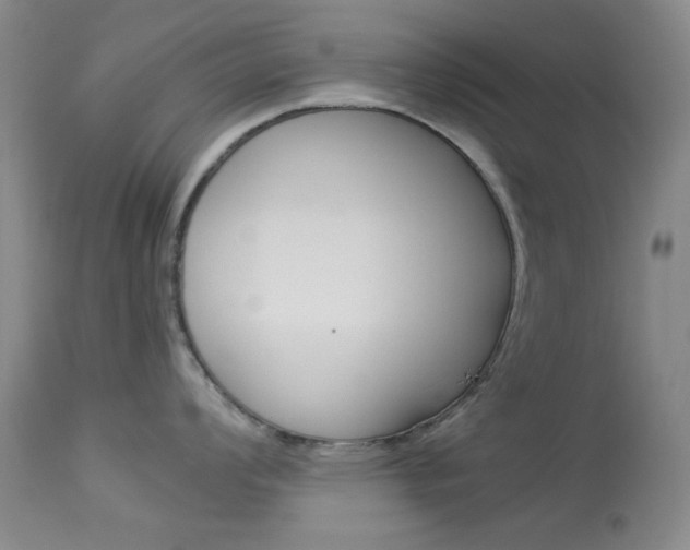 X0000114011008200910020948