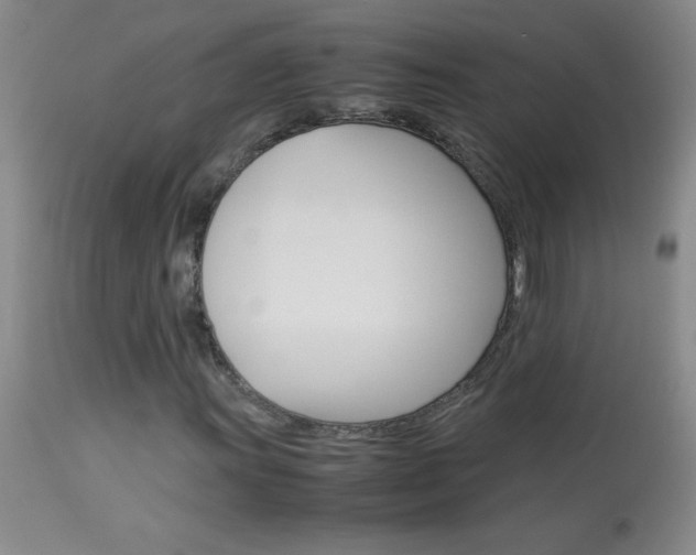 X0000114011011200910020947