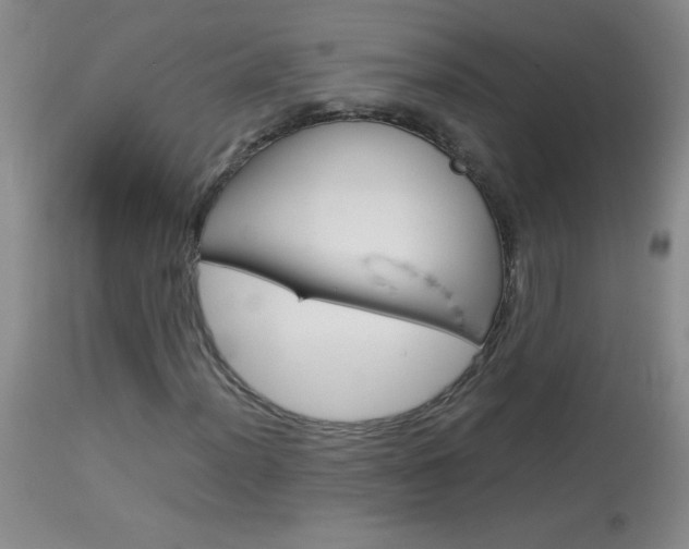 X0000114011012200910020947