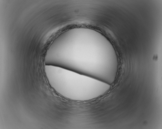 X0000114011016200910020947