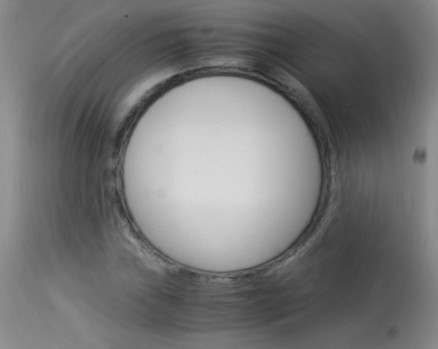 X0000114011019200910020947