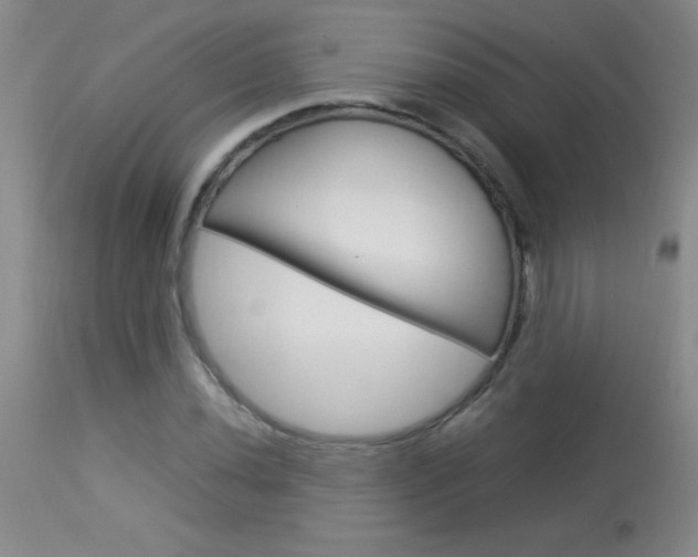 X0000114011020200910020947