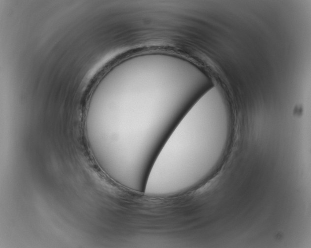 X0000114011021200910020947
