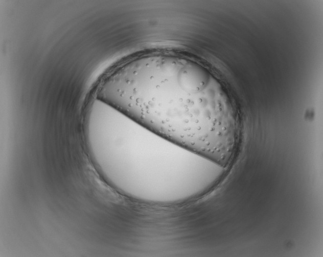 X0000114011022200910020947