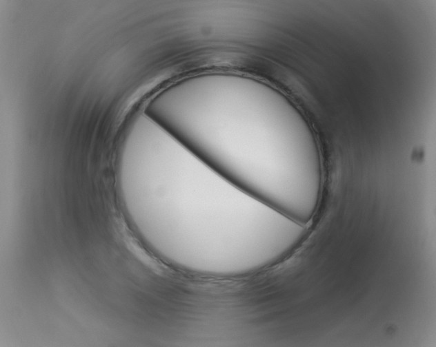 X0000114011026200910020948