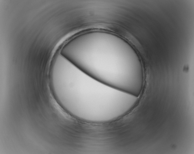 X0000114011028200910020948