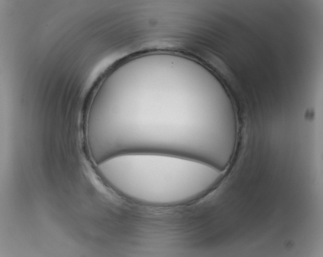 X0000114011030200910020948