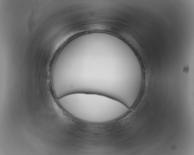 X0000114011031200910020948
