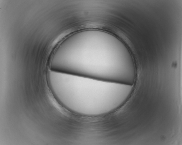 X0000114011034200910020948