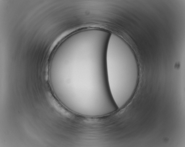 X0000114011036200910020948
