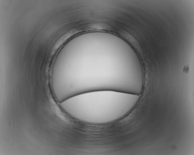 X0000114011039200910020948