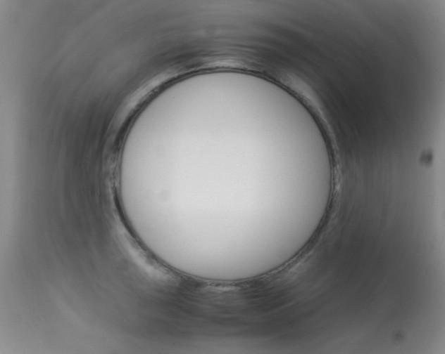 X0000114011043200910020948