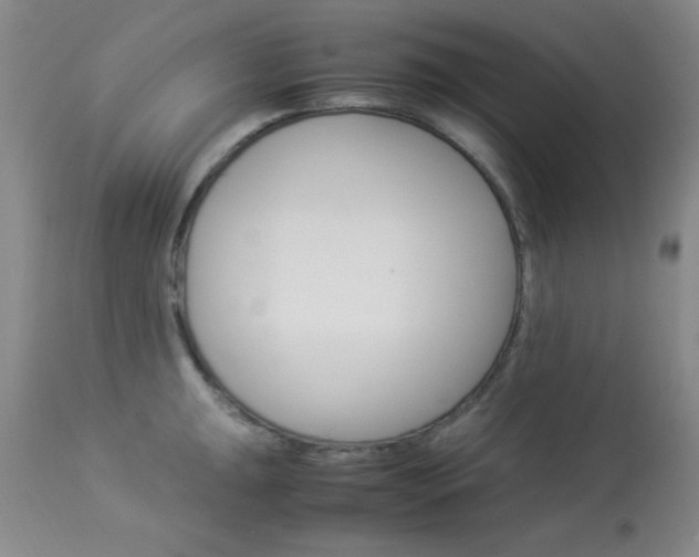 X0000114011047200910020948