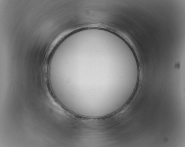 X0000114011048200910020948