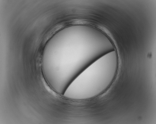 X0000114011049200910020948