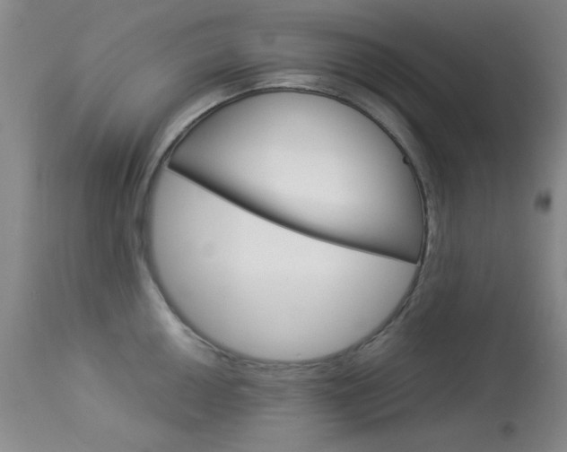 X0000114011050200910020948