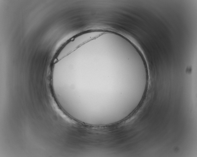 X0000114011053200910020948