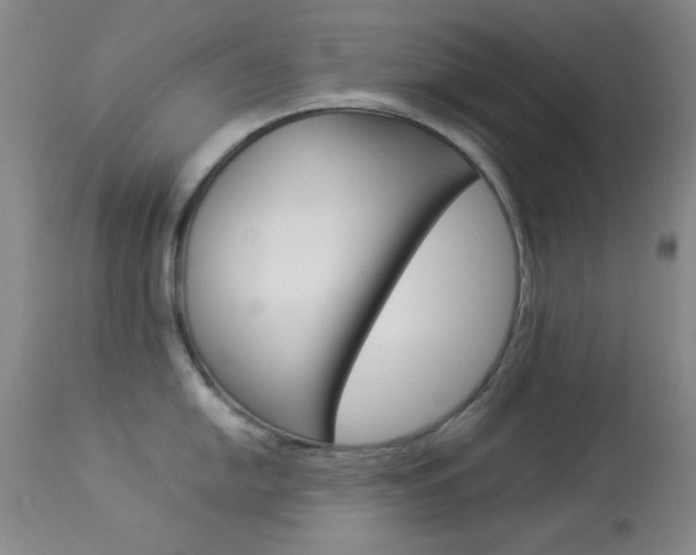 X0000114011054200910020948