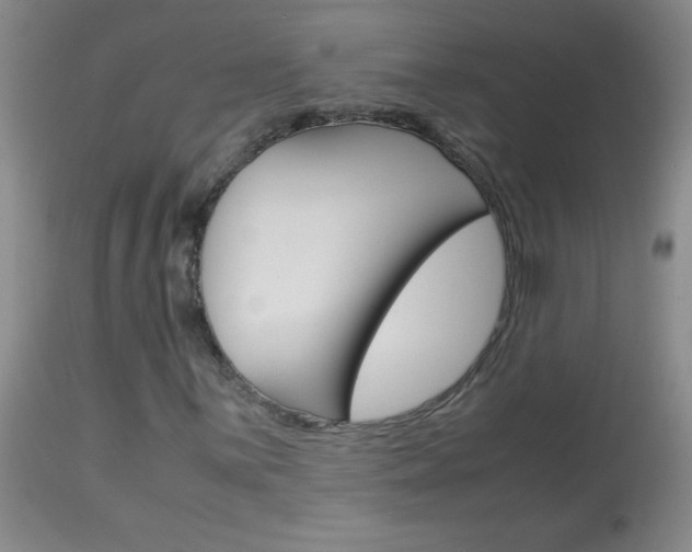 X0000114011059200910020947
