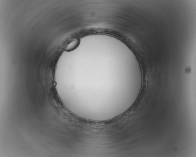 X0000114011062200910020947