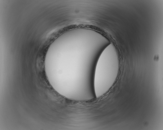 X0000114011063200910020947