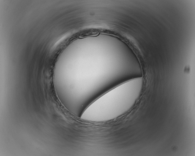 X0000114011064200910020947